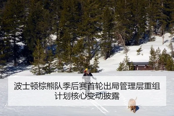 波士顿棕熊队季后赛首轮出局管理层重组计划核心变动披露
